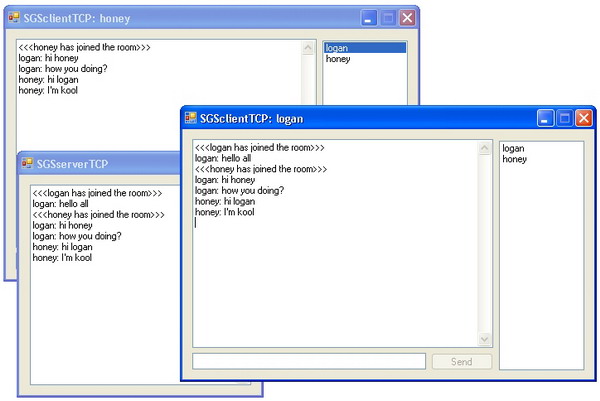 Multi User Chat vb.net 2008