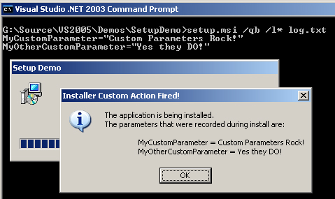 How to Pass Command Line Arguments to MSI Installer Custom Actions