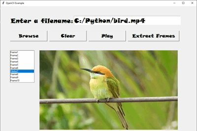 Thumbnail for Working with frames in a video using OpenCV and Tkinter.