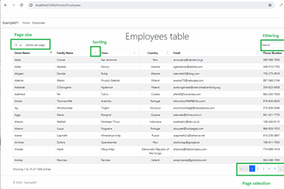 Thumbnail for ASP.NET 8 Using DataTables.net – Part1 – Foundation
